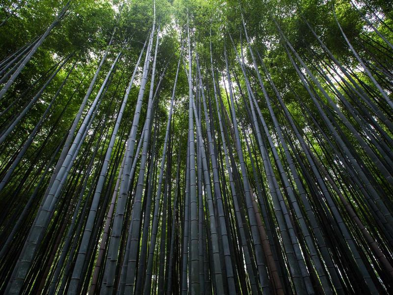 会議進行の掌握